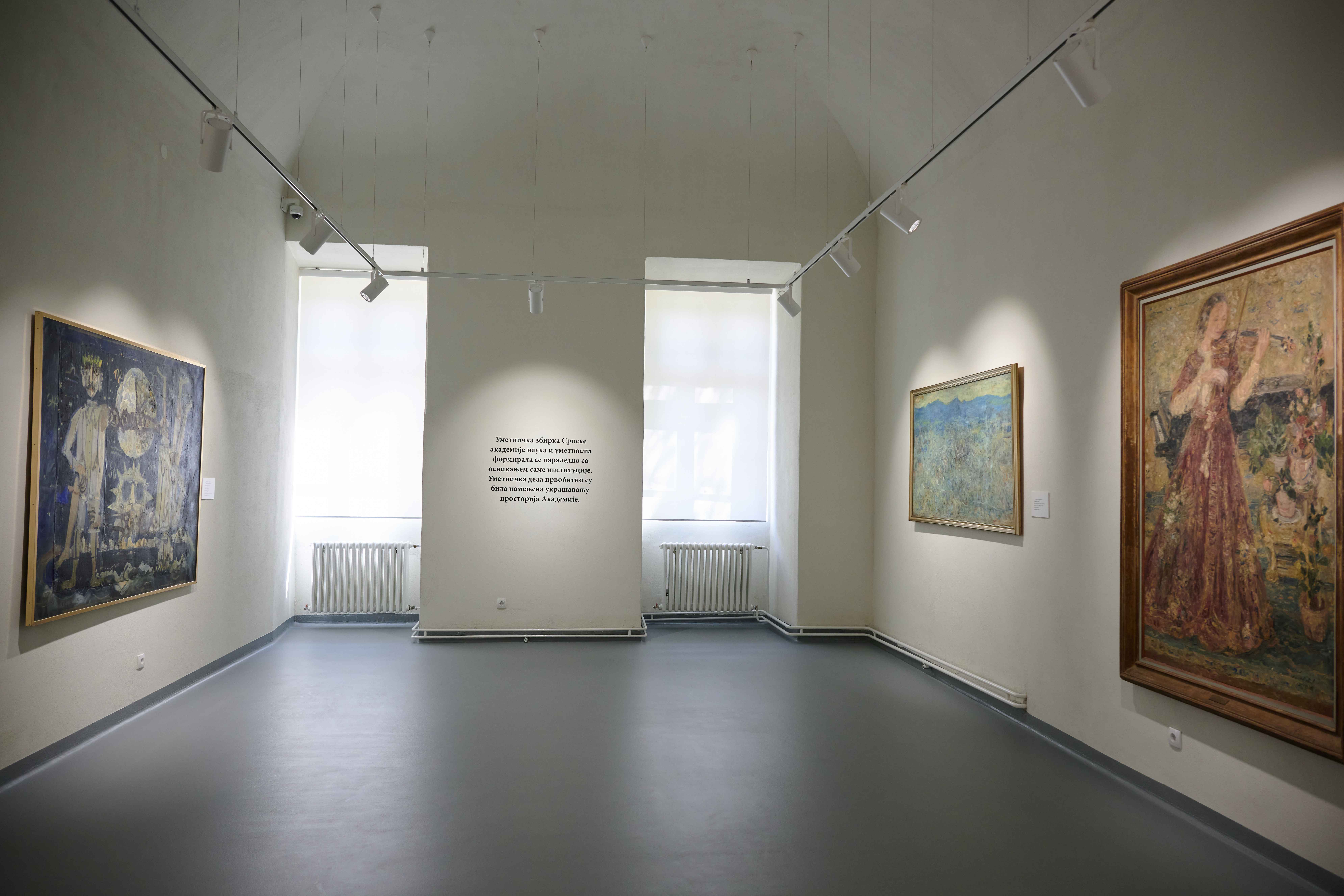 Гојковић у Народном музеју у Кикинди отворила адаптирану галерију и изложбу САНУ